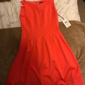 Ivanka Trump Summer Dress